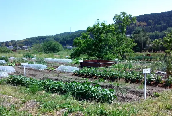 霜里農園