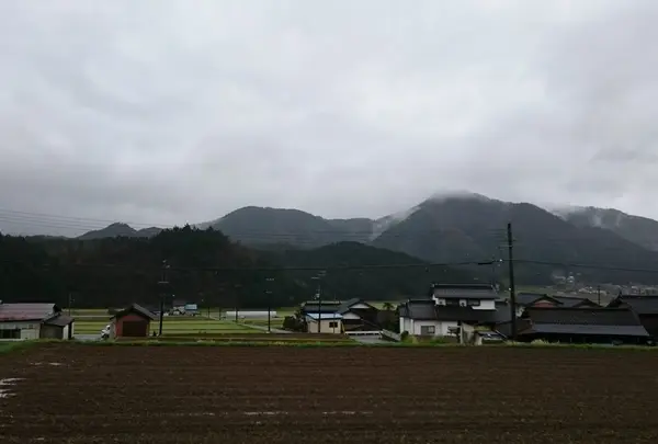 らいらっくの写真・動画_image_32985