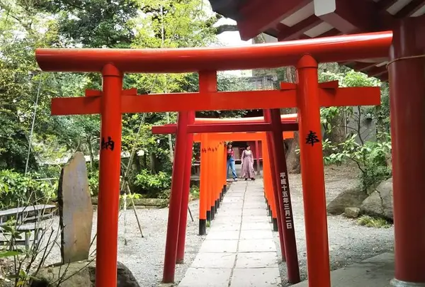 連なる鳥居