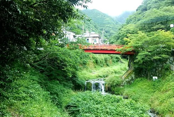 大山の写真・動画_image_34850