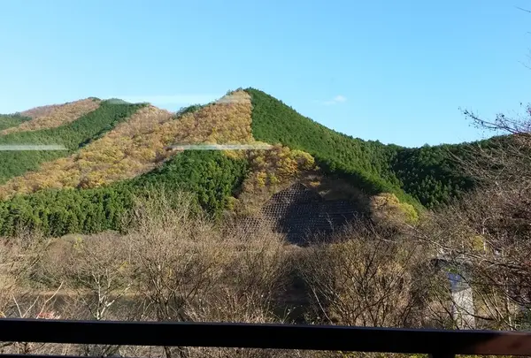 食事をとりながら見る絶景！！