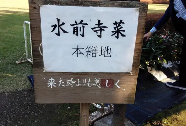 スポット内のおすすめ