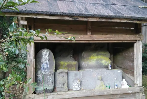 満願寺の写真・動画_image_58773
