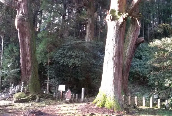 満願寺の写真・動画_image_58774