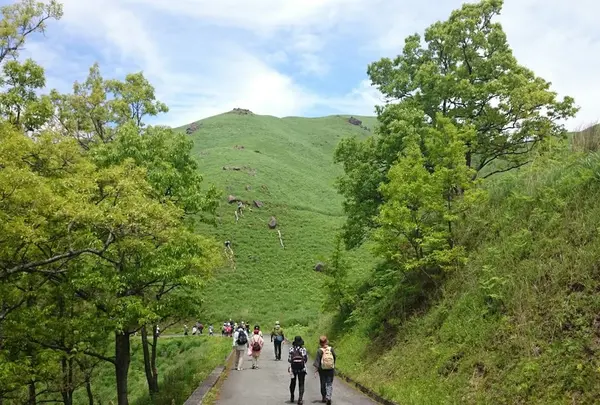 黒川温泉清流の森　ガイドウォーキング