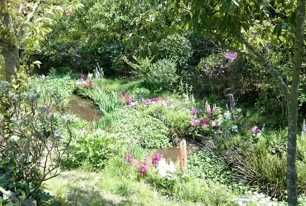 地中美術館への小道