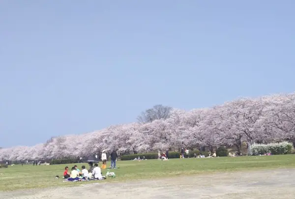宮川堤　伊勢