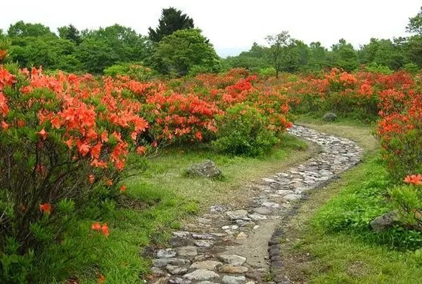 八方ヶ原