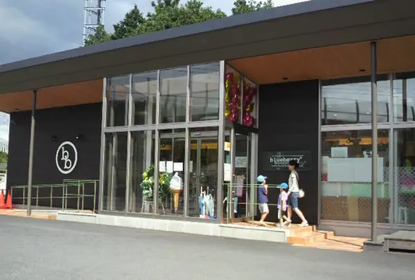 ブルーベリー御殿場店