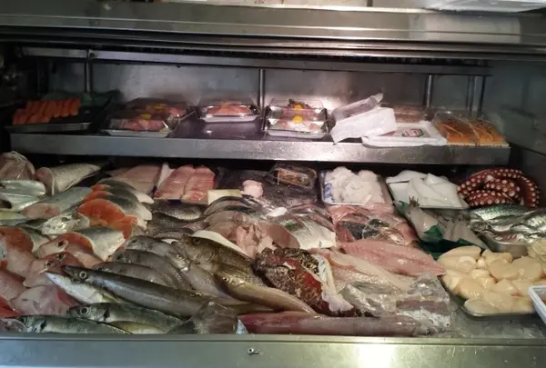 【不定期】魚むつ