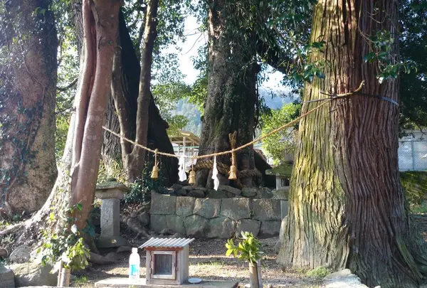小田集会所の大元御神木