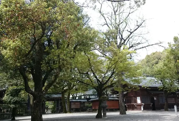 菊池神社一帯