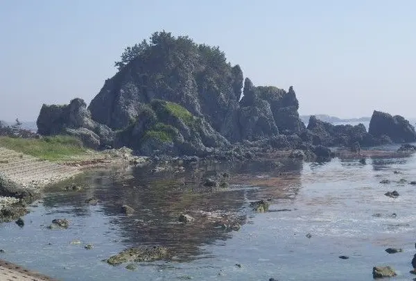 ホテルめおとの写真・動画_image_184035