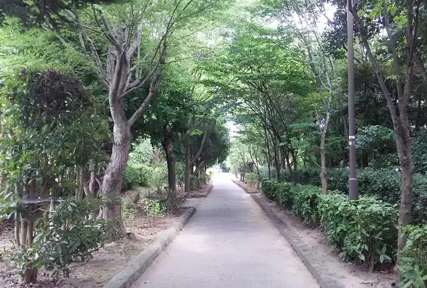 であいのみち