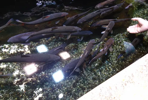 井の頭自然文化園 分園