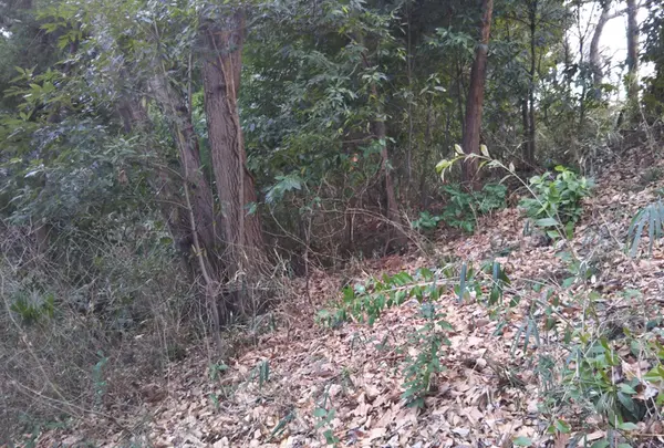 古淵鵜野森公園