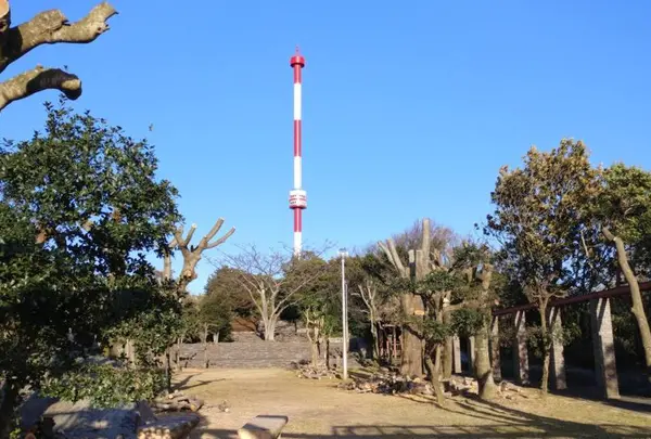 宇和海展望タワー