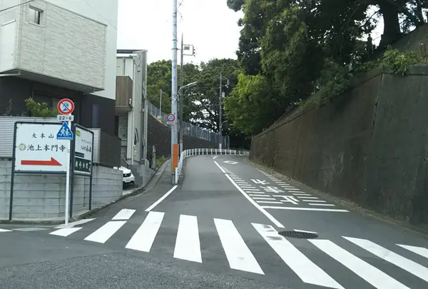 池上本門寺の写真・動画_image_457614