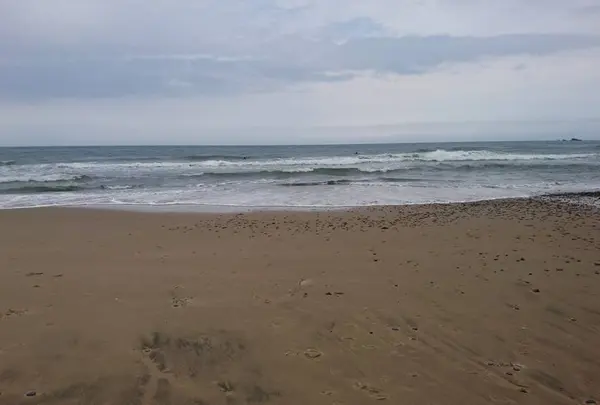 琴ケ浜