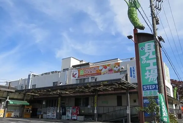 ステップインたまるや