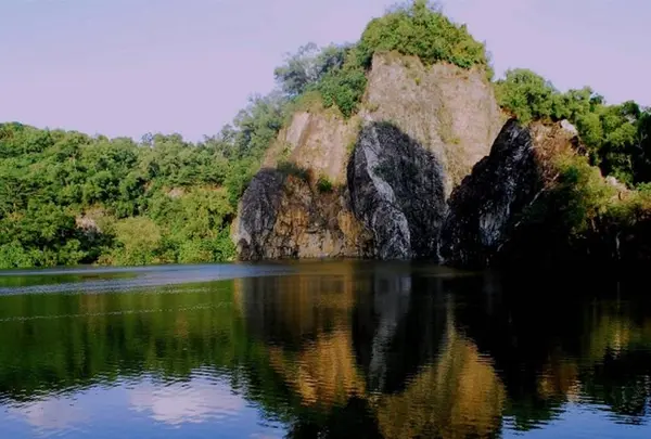 Bukit Timah Nature Reserve