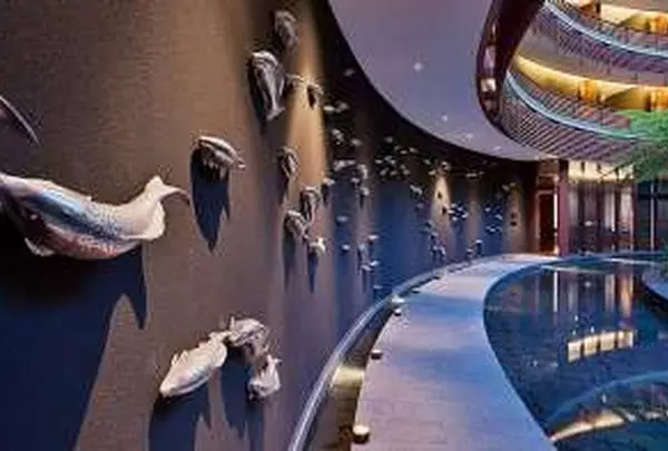 Auriga Spaの写真・動画_image_491188
