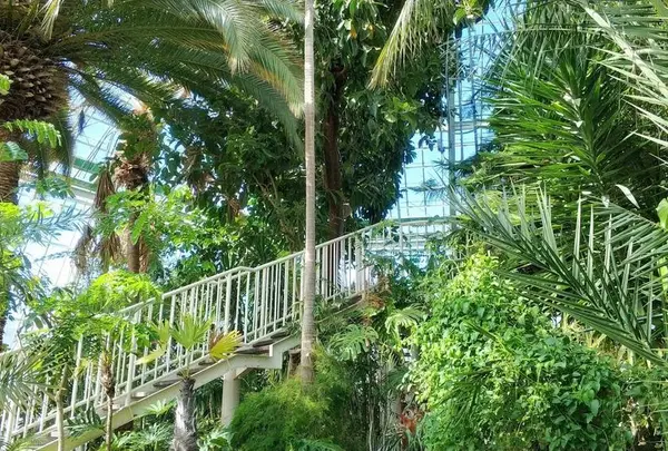 函館市熱帯植物園