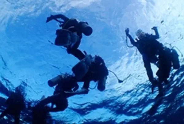 城ヶ島ダイビングセンターの写真・動画_image_659396