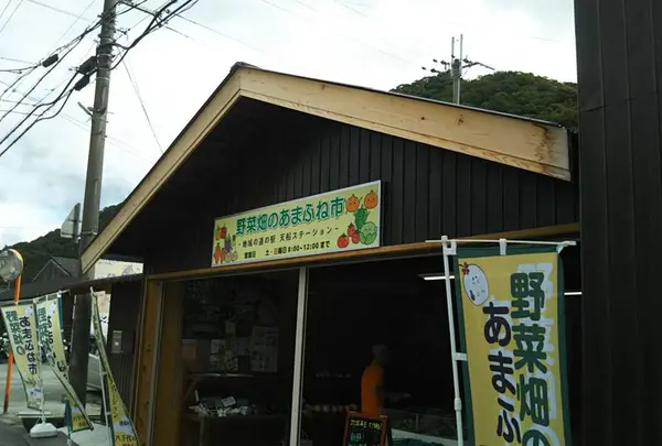 野菜畑のあまふね市の写真・動画_image_681163