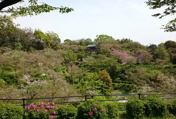菊池公園
