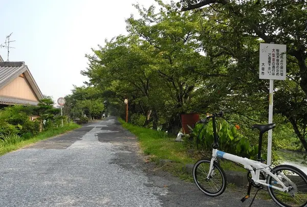 田舎道最高！