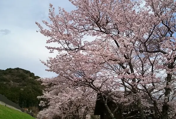 もみじの里公園