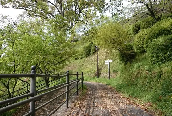 遊歩道