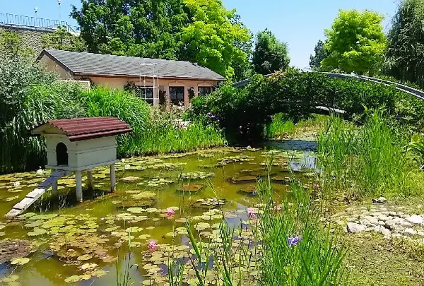 びわ湖大津館（旧琵琶湖ホテル）の写真・動画_image_79496