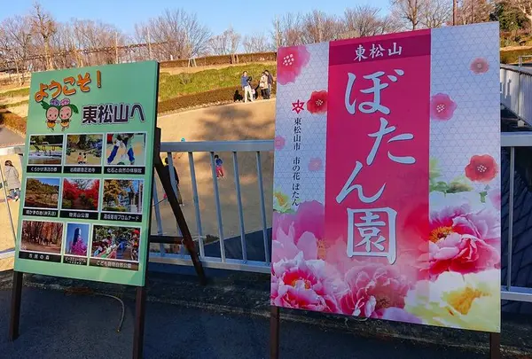 東松山ぼたん園の写真・動画_image_722997