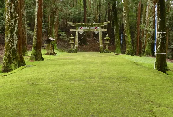 鳥居から続く石畳み