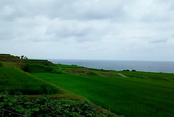 新井（にい）地区の棚田