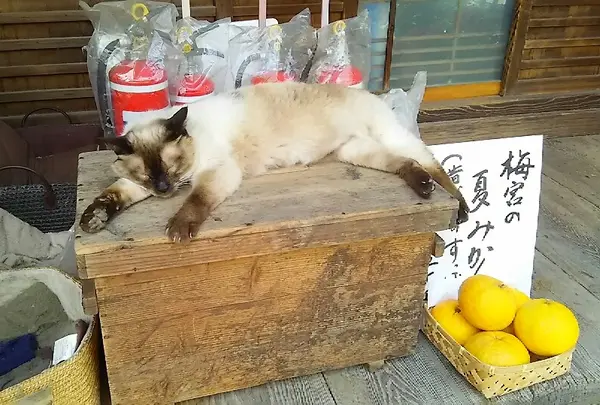 ところかまわず…