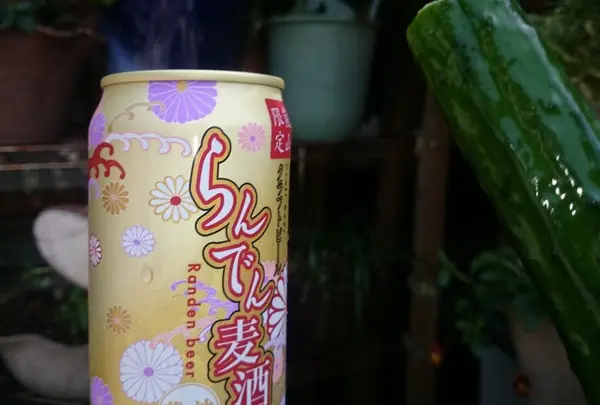 散策のお供