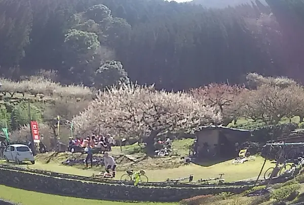 美しい景色です🌼
