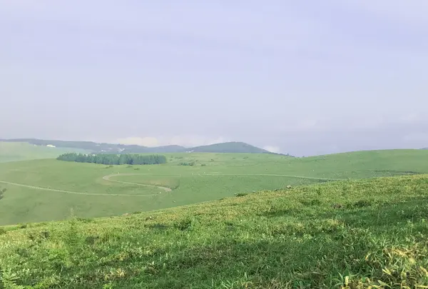 ビーナスラインの写真・動画_image_796266