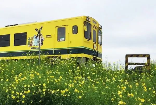 第2五之町踏切の写真・動画_image_72362
