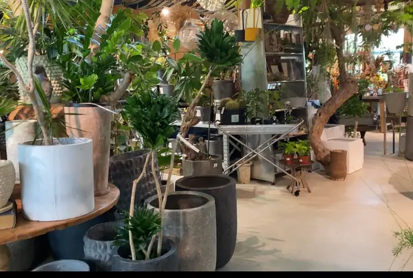 GREEN LOFT THE PARK（グリーン ロフト ザ パーク）