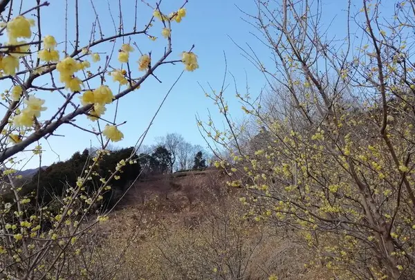 松田町寄自然休養村
