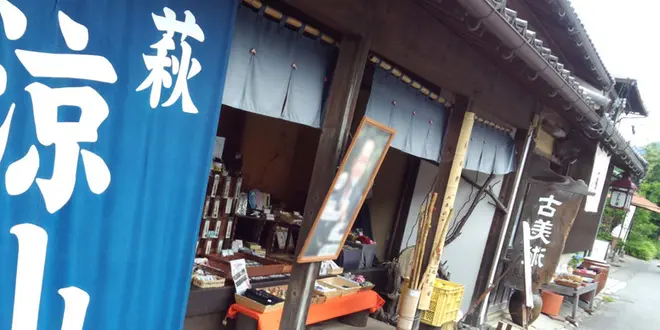 夏みかん香る 萩の城下町めぐり