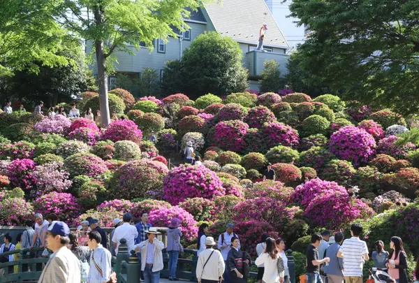 根津神社