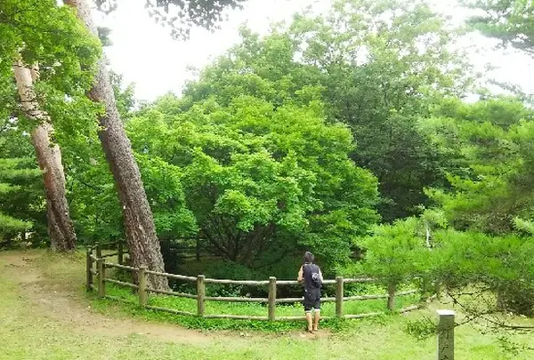 春日山城跡の写真・動画_image_152913