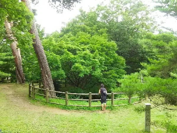 今なお水を湛える大井戸（井戸曲輪）