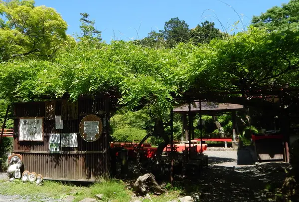 大原野神社の写真・動画_image_76949