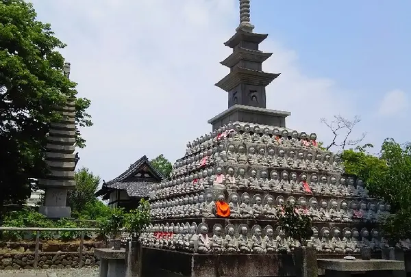 乙訓寺の写真・動画_image_78649